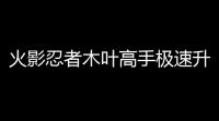 火影忍者木叶高手极速升级指南：双引擎冲级秘籍