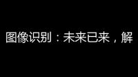 图像识别	：未来已来，解锁视觉新篇章