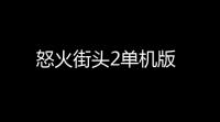 怒火街头2单机版