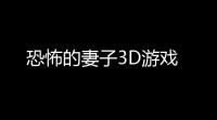 恐怖的妻子3D游戏