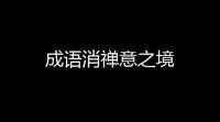 成语消禅意之境