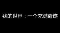 我的世界	：一个充满奇迹的童年，以及无限可能
