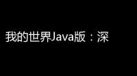 我的世界Java版 ：深度定制，无限可能