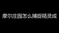 摩尔庄园怎么捕捉精灵成功率高 捕捉精灵胶片怎么获得
