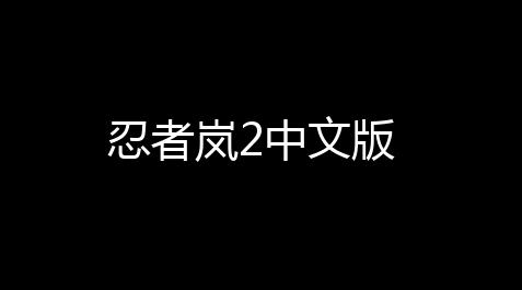 忍者岚2中文版