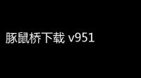豚鼠桥下载 v951 人气热度	：19℃