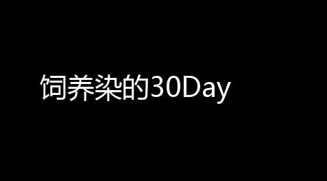 饲养染的30Day,黑神话悟空辅助怎么用